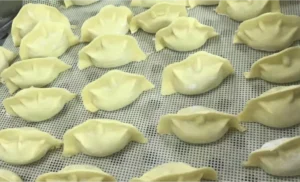 dumpling made from dumpling maker machine